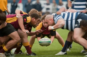 Ставки на регби в 1Win и 1xbet полное руководство для беттеров